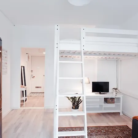 Scandinavian Studio Apartment
