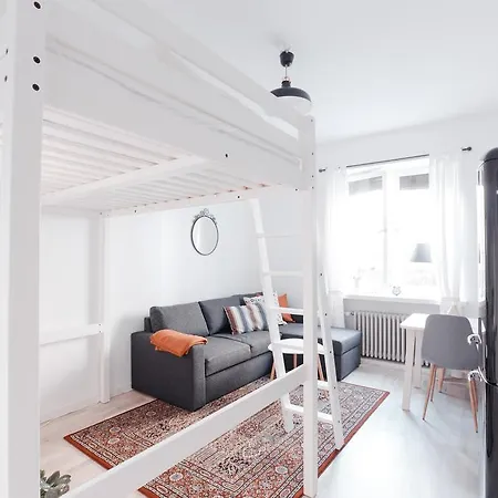 Scandinavian Studio Apartment